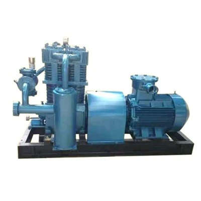 Butadiene Gas Compressor