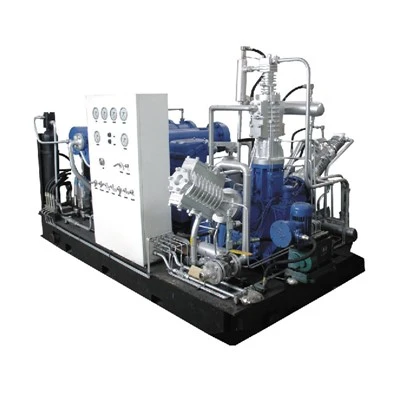 CNG Standard Station Compressor