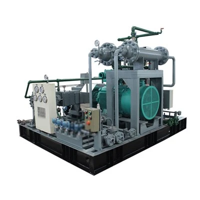 Hydrogen Gas Compressor